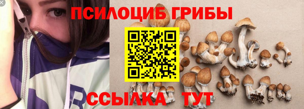 Псилоцибиновые грибы Psilocybe  Вход с VPN  наркошоп  Псилоцибиновые грибы Psilocybine cubensis  Лыткарино 